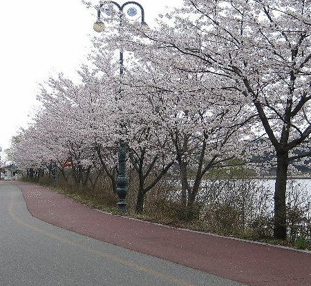 Youngrangho Resort Sokcho Exterior photo