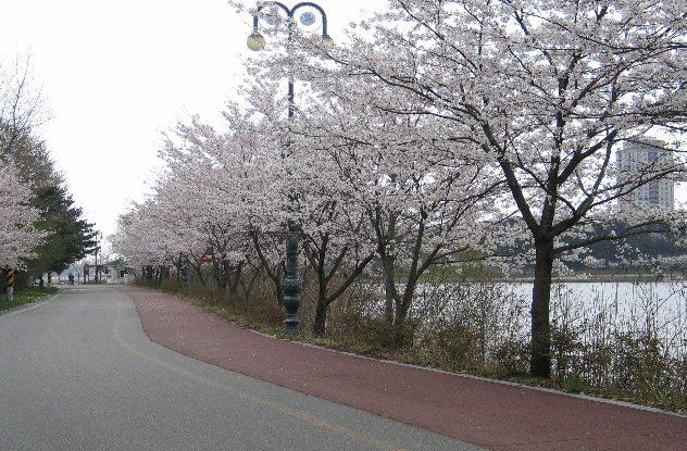 Youngrangho Resort Sokcho Exterior photo